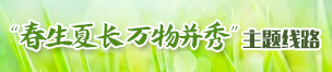 春生夏长万物并秀主题路线